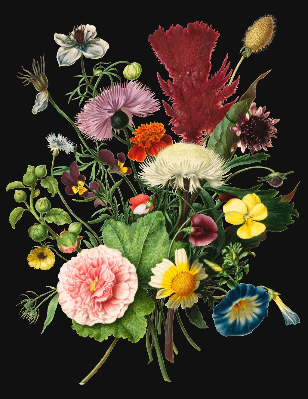 Dutch Botanical Bouquet 1680 T-Shirt - Catholicamtees