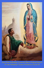 Load image into Gallery viewer, Our Lady of Guadalupe with St. Juan Diego Art Print - Catholicamtees
