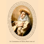 Load image into Gallery viewer, St. Catherine of Siena Ready to Hang Poster
