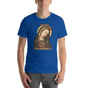Our Lady, Mother of Mercy T-Shirt - Catholicamtees