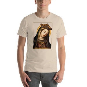 Our Lady, Mother of Mercy T-Shirt - Catholicamtees