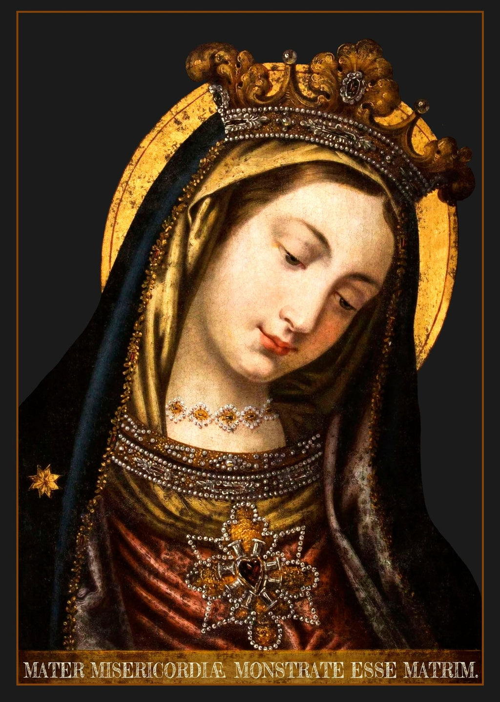 Our Lady, Mother of Mercy T-Shirt - Catholicamtees