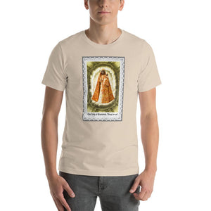 Our Lady of Einsiedeln, Pray for us T-Shirt - Catholicamtees