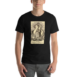 Our Lady of Marienberg and Krems an der Donau T-Shirt - Catholicamtees