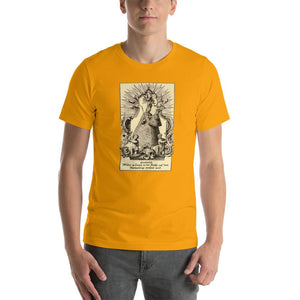 Our Lady of Marienberg and Krems an der Donau T-Shirt - Catholicamtees