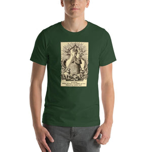 Our Lady of Marienberg and Krems an der Donau T-Shirt - Catholicamtees