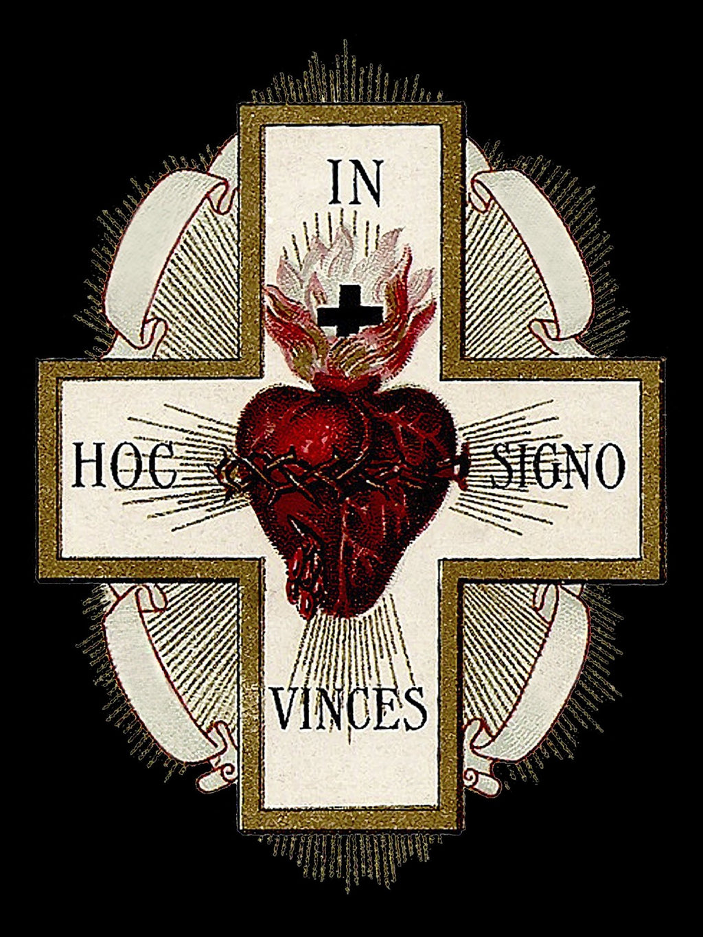 Sacred Heart of Jesus T-Shirt - Catholicamtees