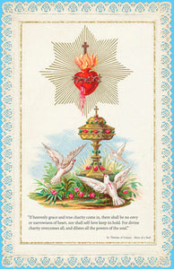 Sacred Heart of Jesus with quote from St. Thérèse's "Story of a Soul" T-Shirt - Catholicamtees