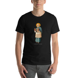 St. Francis de Sales T-Shirt - Catholicamtees