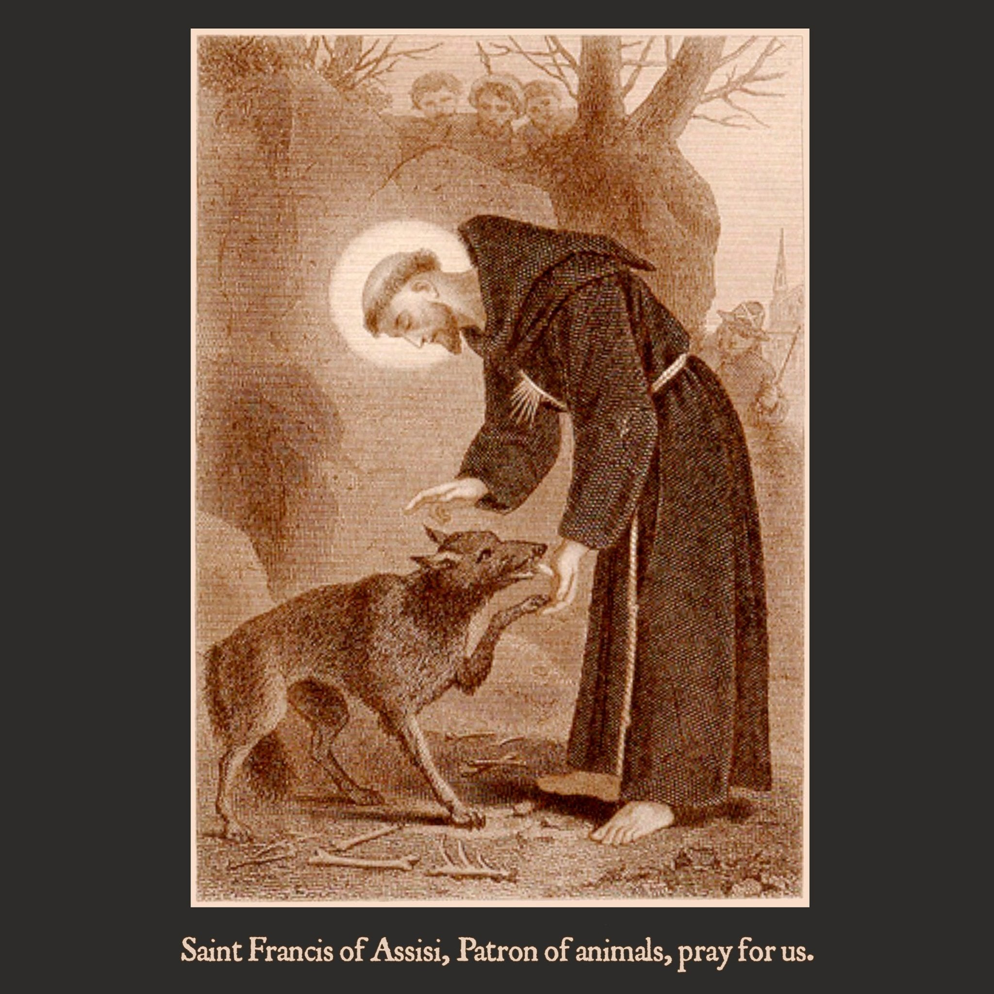 St. Francis of Assisi with the wolf of Gubbio T-Shirt Youth T-Shirt - Catholicamtees