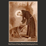 Load image into Gallery viewer, St. Francis of Assisi with the wolf of Gubbio T-Shirt Youth T-Shirt - Catholicamtees
