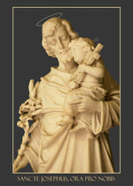 Load image into Gallery viewer, St. Joseph with the Christ Child Long Sleeve Tee - Catholicamtees
