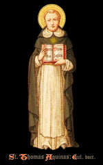 Load image into Gallery viewer, St. Thomas Aquinas: Doctor of the Church T-Shirt - Catholicamtees
